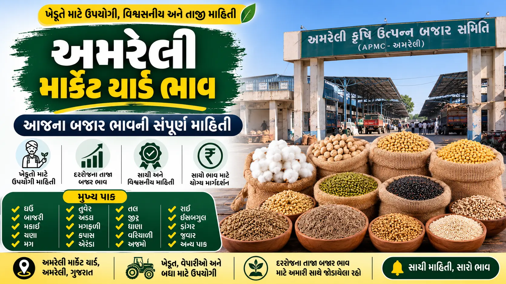 Amreli Market Yard Bhav Today
