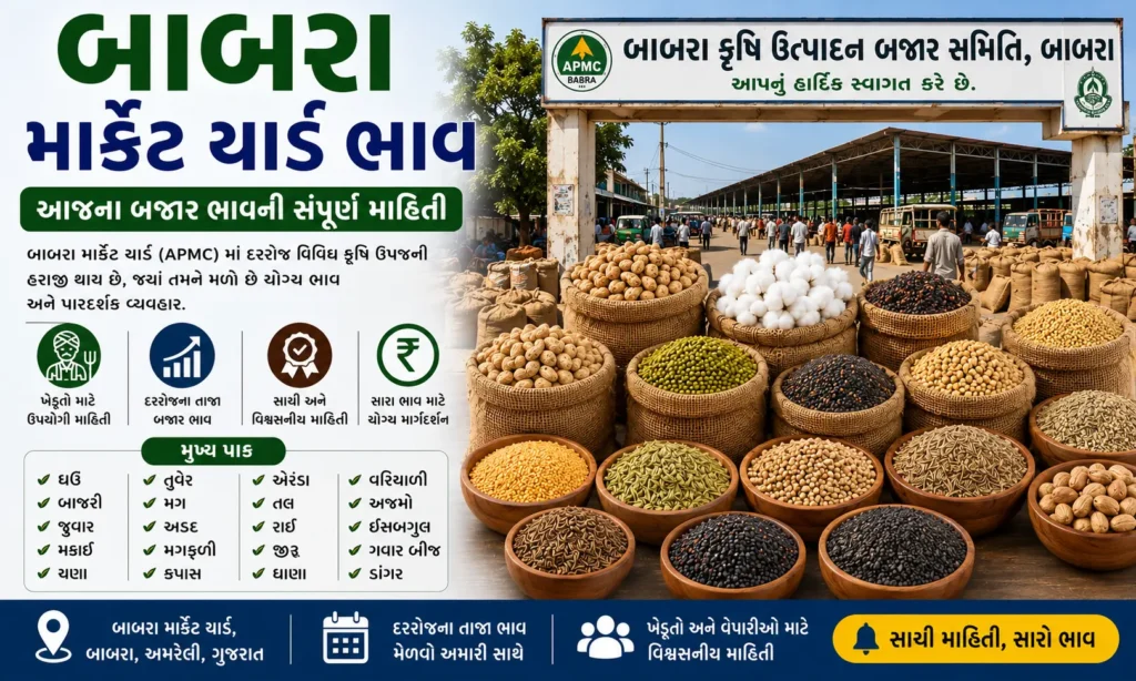 Babra Market Yard Bhav Today