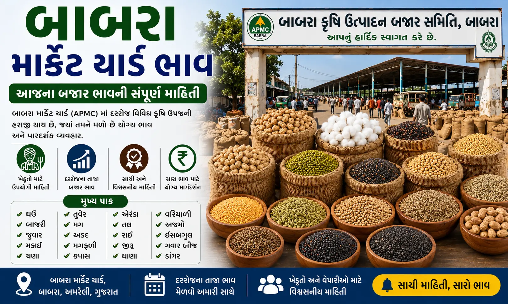 Babra Market Yard Bhav Today