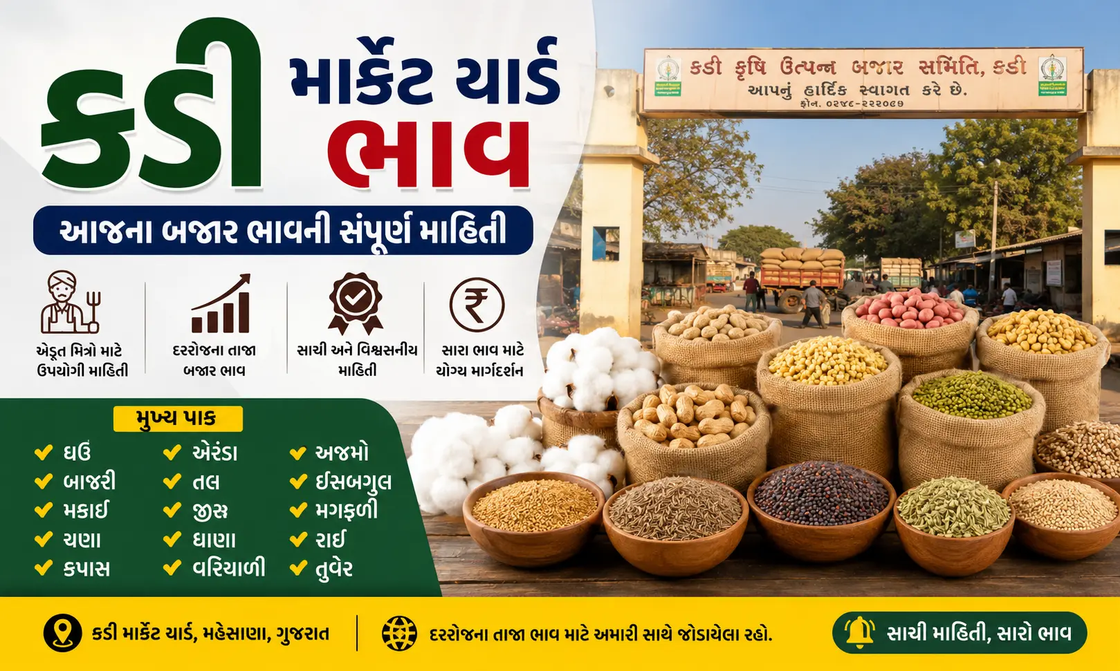 kadi market yard bhav today