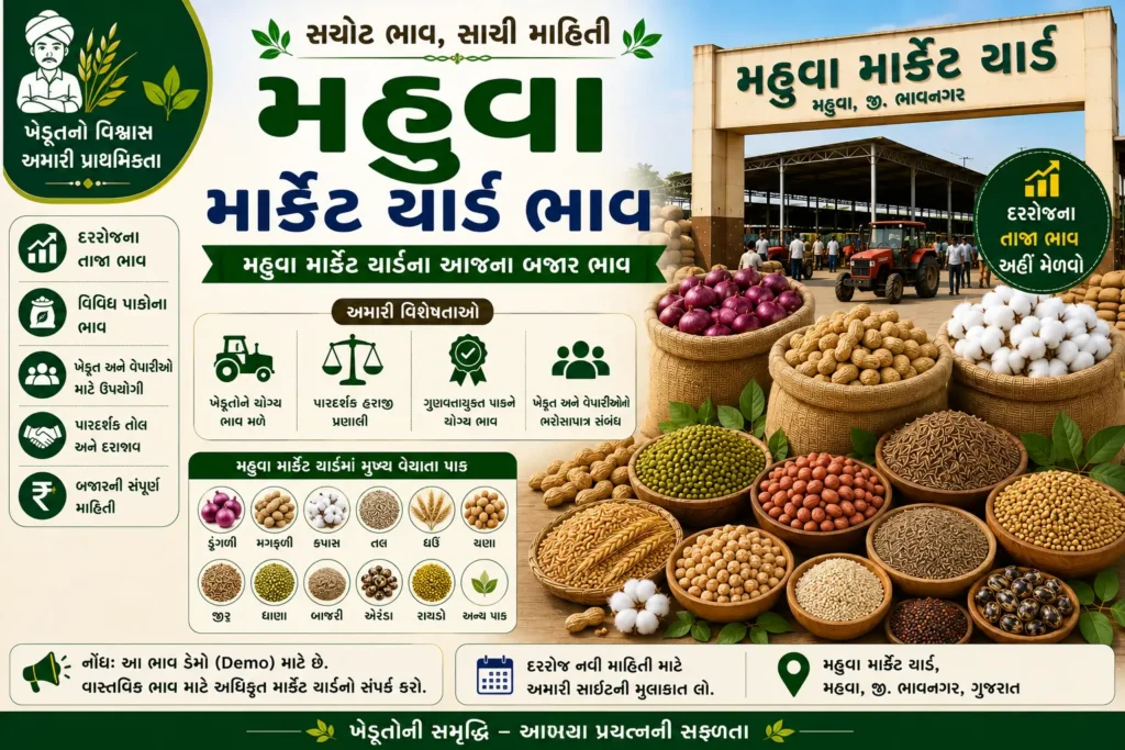 Mahuva Market Yard Bhav Today