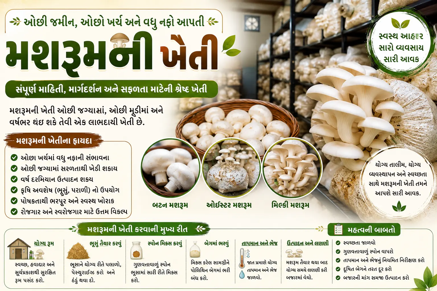 mushroom ki kheti