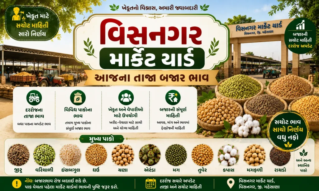 Visnagar Market Yard Bhav Today